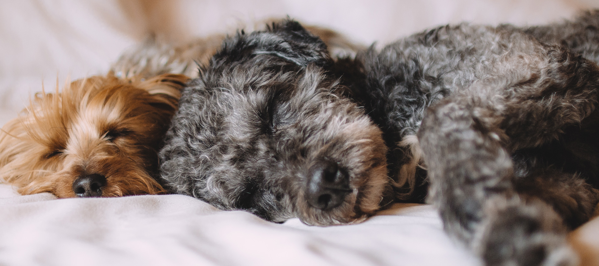 International Air freight