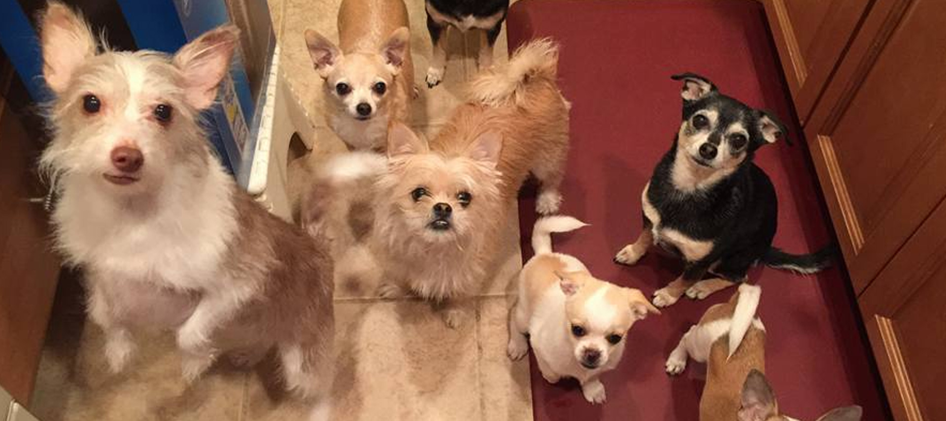 Worldwide freight services