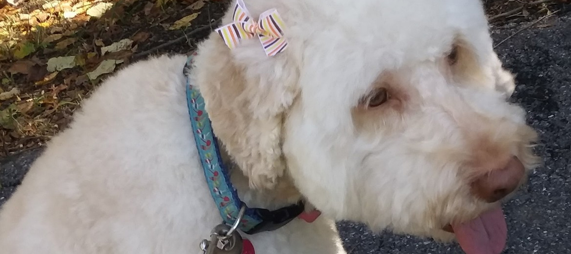 Worldwide freight services